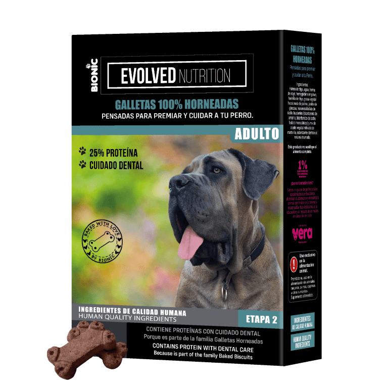 caja galletas adulto_a