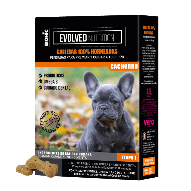 caja galletas cachorro_a